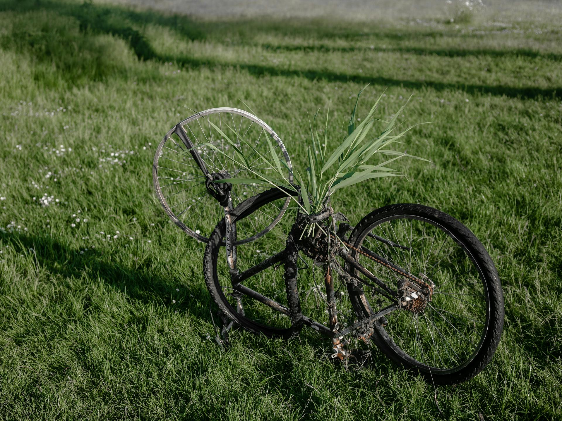 Bicycle in need of repair