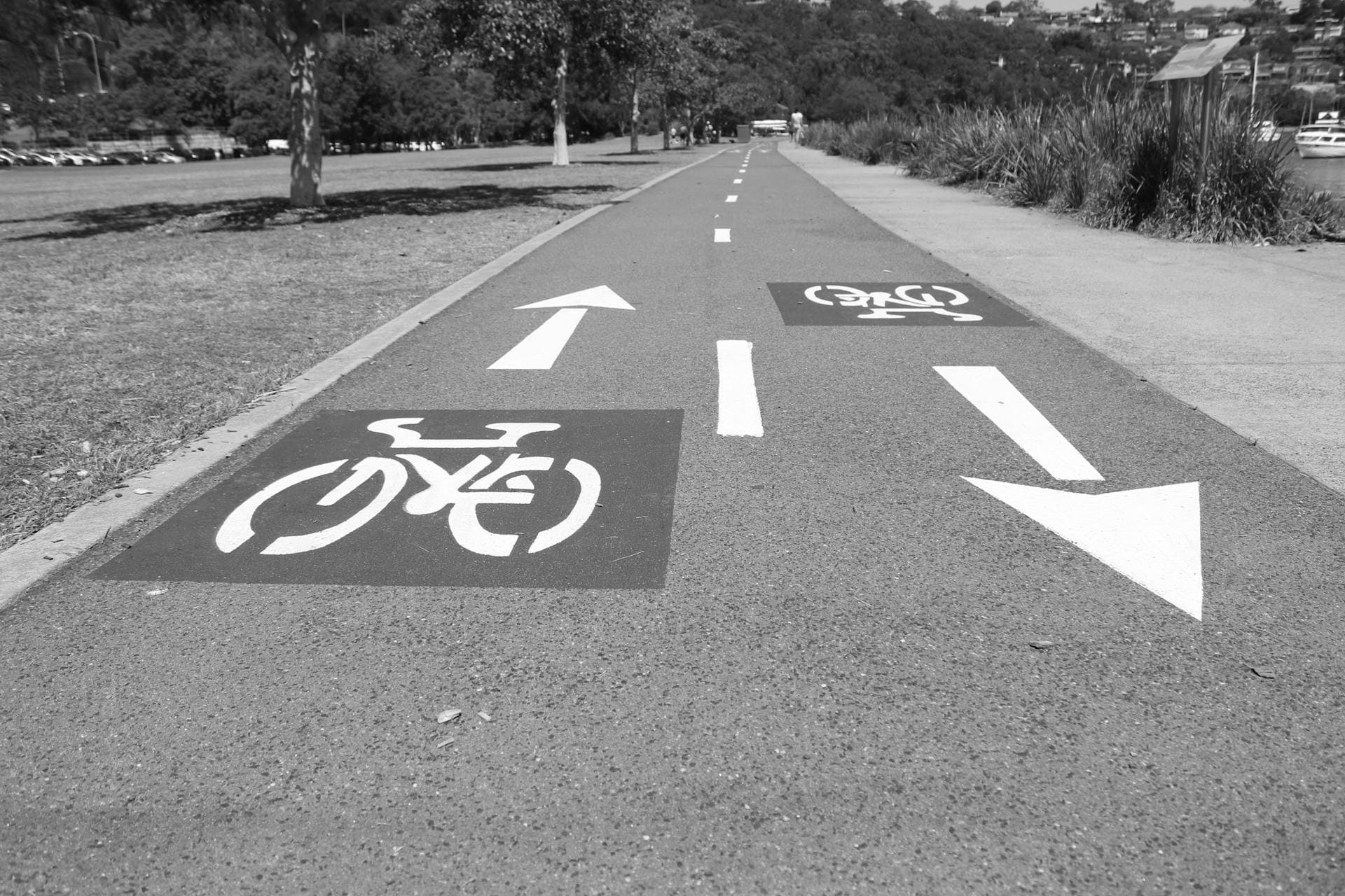 A protected bike lane with white bike symbols and directional arrows painted on the asphalt